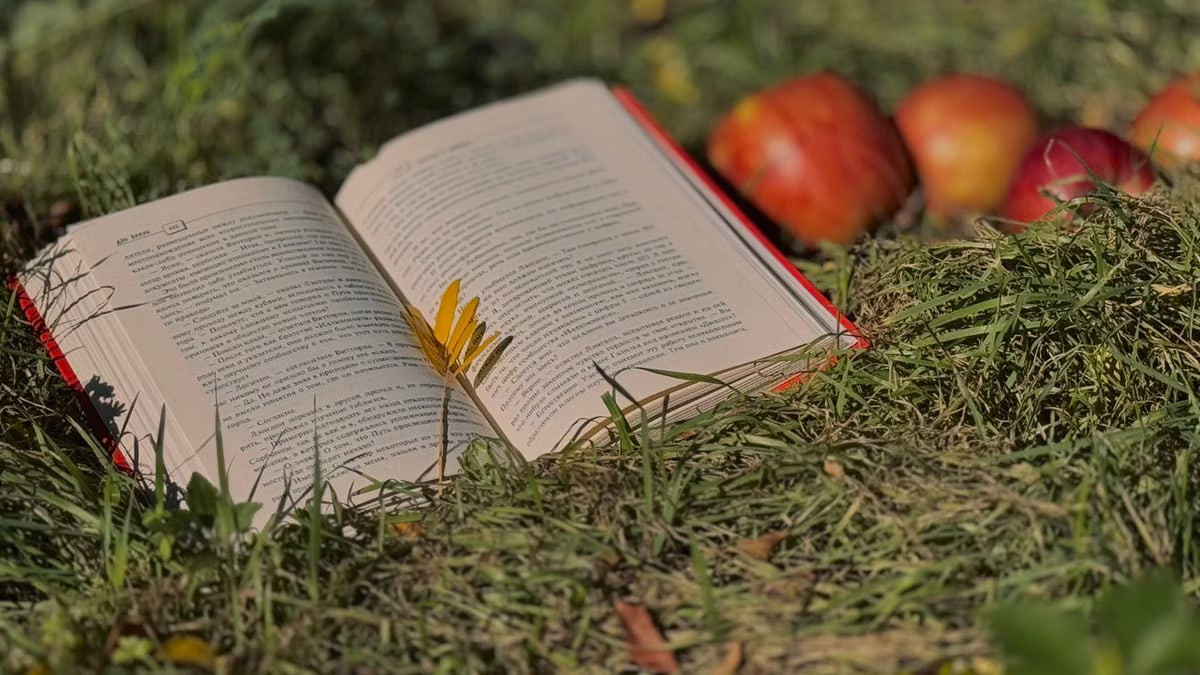 An open book lies on grass surrounded by apples, symbolizing autumn and relaxation.